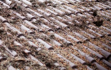 Appersett roof cleaning companies