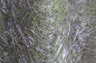 Appersett fibreglass roof work